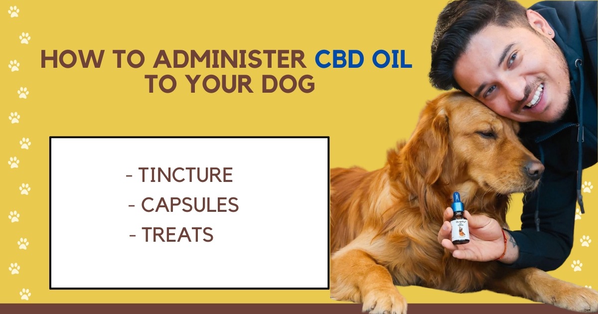 buy cbd oil for dogs